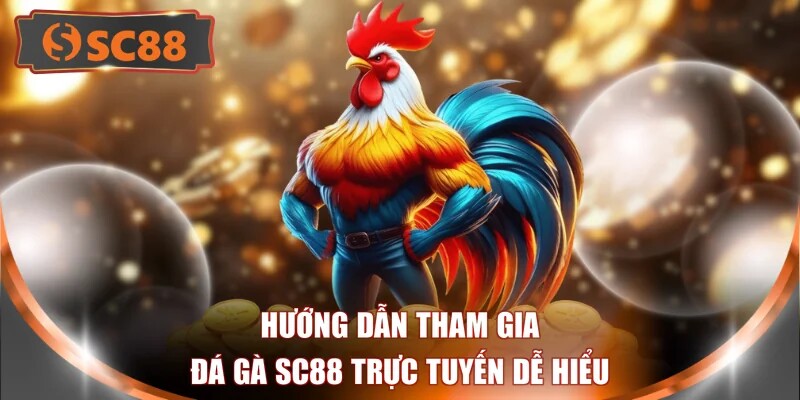 Hướng dẫn tham gia đá gà SC88 trực tuyến dễ hiểu