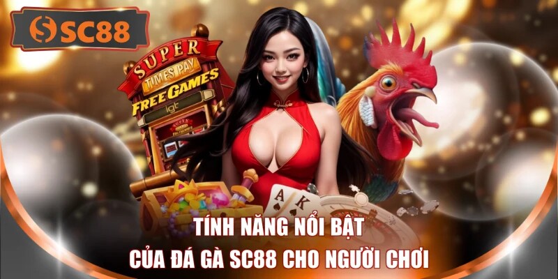 Tính năng nổi bật của đá gà SC88 cho người chơi